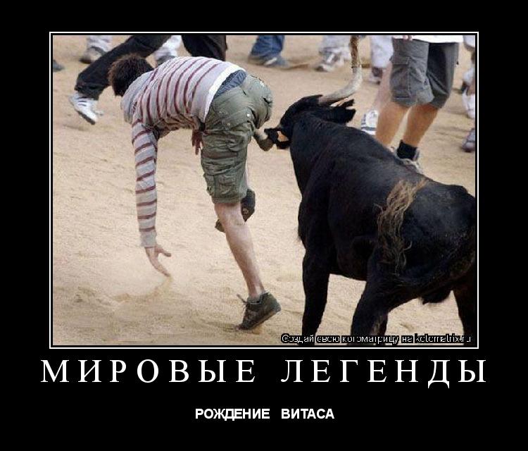 МИРОВЫЕ ЛЕГЕНДЫ РОЖДЕНИЕ ВИТАСА... Котоматрица: МИРОВЫЕ ЛЕГЕНДЫ РОЖДЕНИЕ ВИТАСА