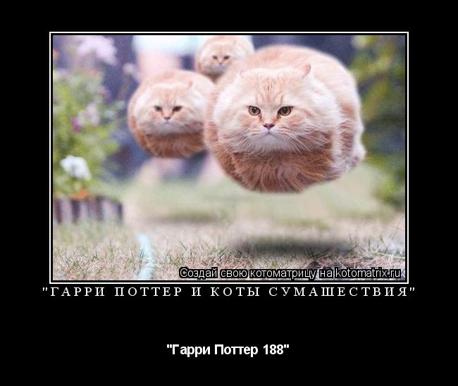 "Гарри Поттер и Коты Сумашествия" "Гарри Поттер 188"... Котоматрица: "Гарри Поттер и Коты Сумашествия" "Гарри Поттер 188"