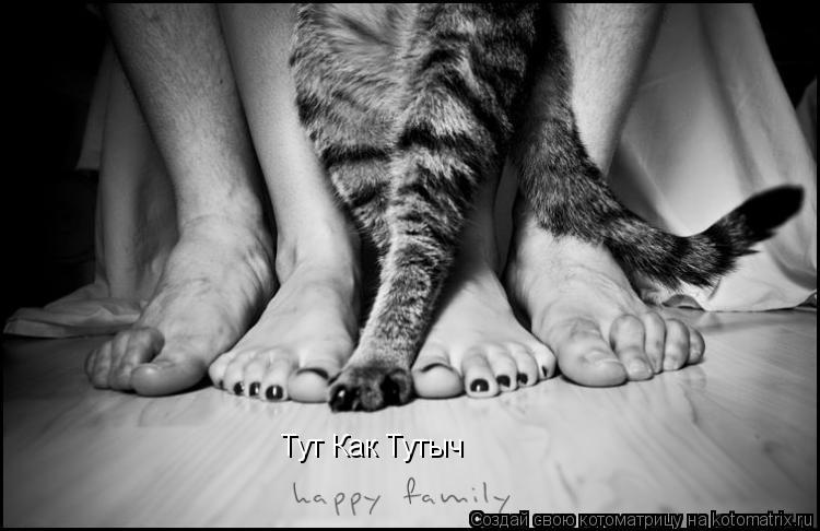 Котоматрица: Тут Как Тутыч