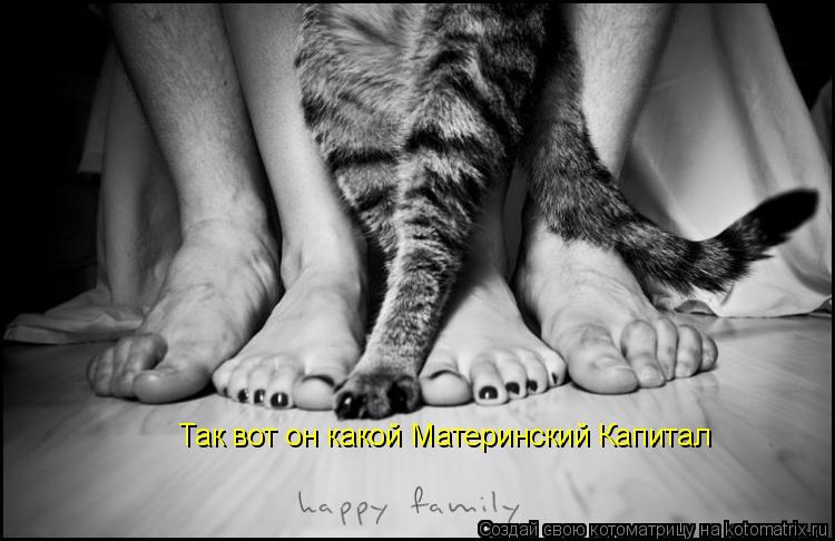 Котоматрица: Так вот он какой Материнский Капитал