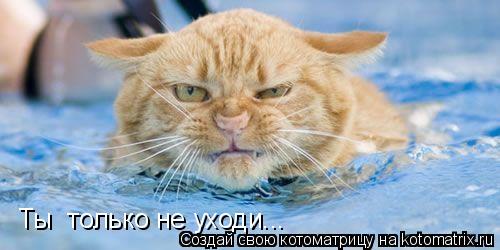 Котоматрица: Ты  только не уходи...