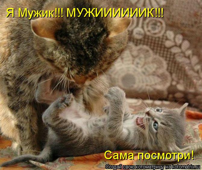 Котоматрица: Я Мужик!!! МУЖИИИИИИК!!! Сама посмотри!