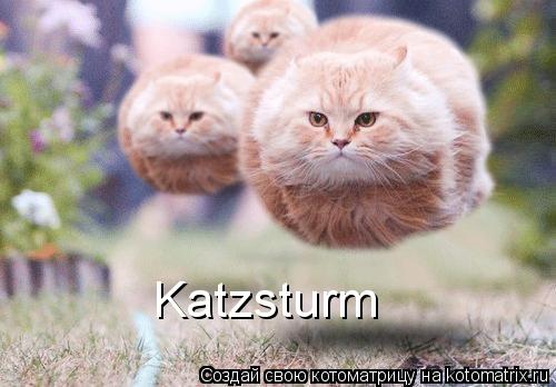 Katzsturm... Котоматрица: Katzsturm