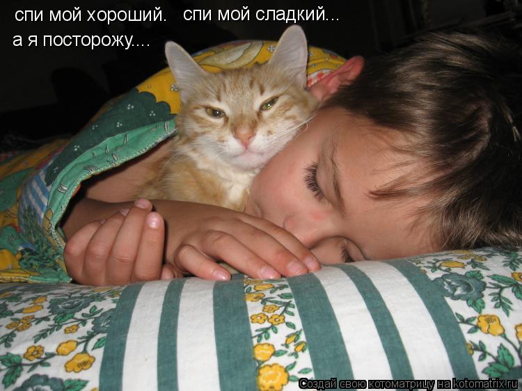 Котоматрица: спи мой хороший. спи мой сладкий... а я посторожу....