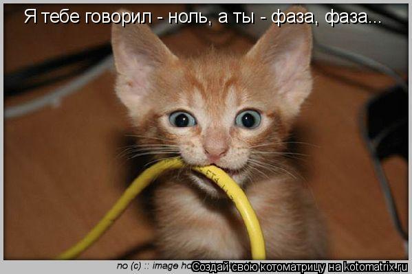 Котоматрица: Я тебе говорил - ноль, а ты - фаза, фаза...