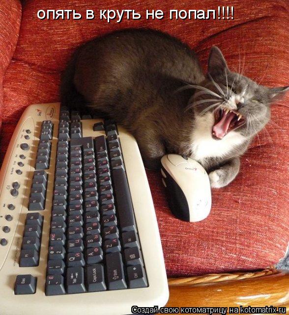 Котоматрица: опять в круть не попал!!!!