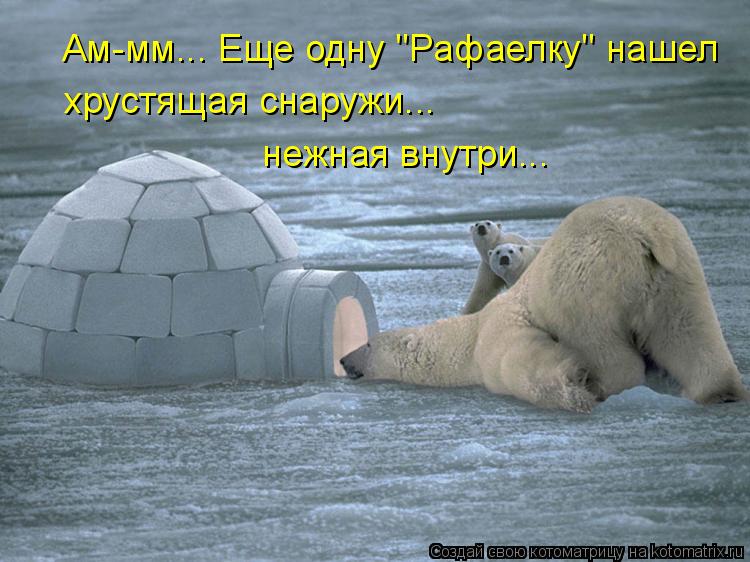 Котоматрица: хрустящая снаружи... нежная внутри... Ам-мм... Еще одну "Рафаелку" нашел