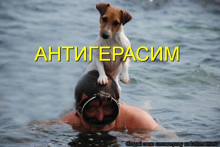АНТИГЕРАСИМ... Котоматрица: АНТИГЕРАСИМ