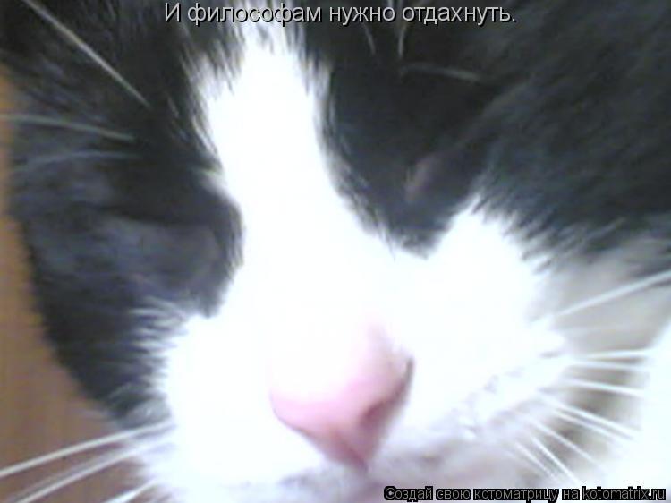 Котоматрица: И философам нужно отдахнуть.