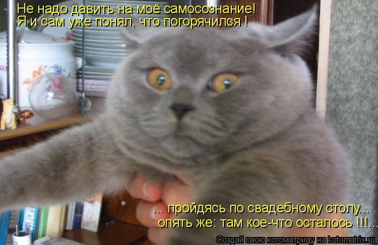 Не надо давить на моё самосознание! Я и сам уже понял, что погорячился ! ... пройдясь по свадебному ... Котоматрица: Не надо давить на моё самосознание! Я и сам уже понял, что погорячился ! ... пройдясь по свадебному столу... опять же: там кое-что осталось !!!...