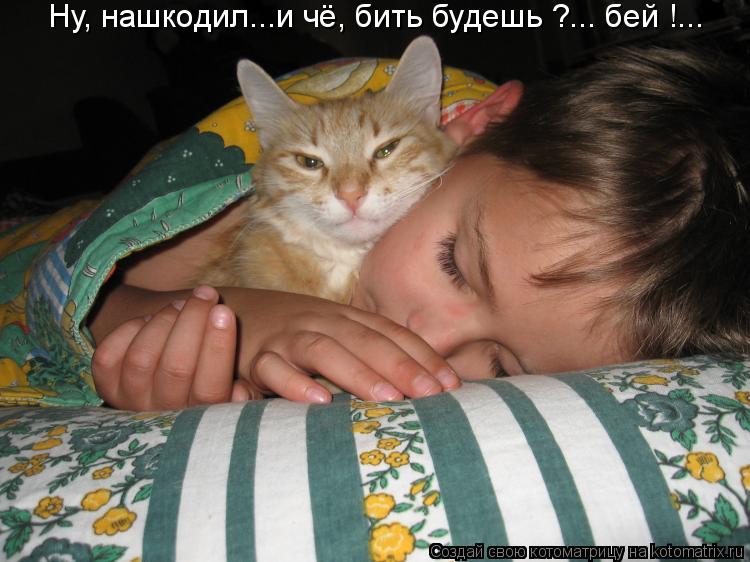 Ну, нашкодил...и чё, бить будешь ?... бей !...... Котоматрица: Ну, нашкодил...и чё, бить будешь ?... бей !...
