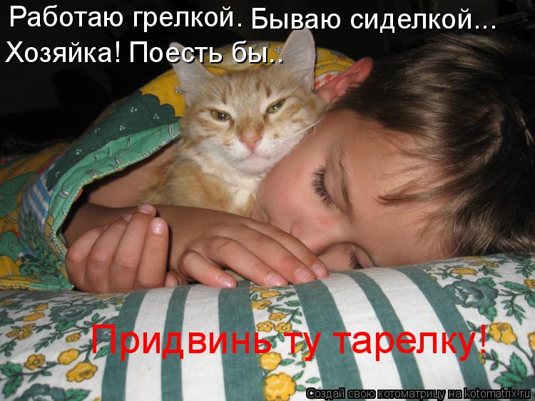 Работаю грелкой. Бываю сиделкой... Хозяйка! Поесть бы.. Придвинь ту тарелку!... Котоматрица: Работаю грелкой. Бываю сиделкой... Хозяйка! Поесть бы.. Придвинь ту тарелку!