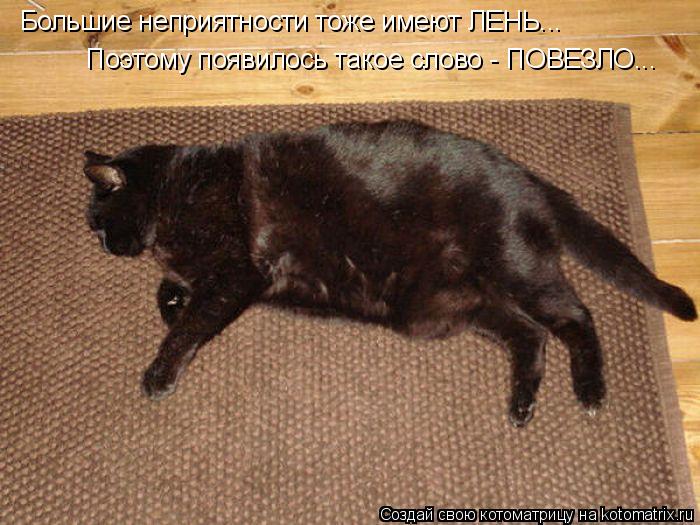 Котоматрица: Большие неприятности тоже имеют ЛЕНЬ... Поэтому появилось такое слово - ПОВЕЗЛО...