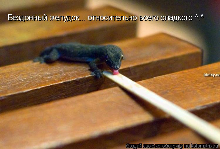 Бездонный желудок... относительно всего сладкого ^.^... Котоматрица: Бездонный желудок... относительно всего сладкого ^.^