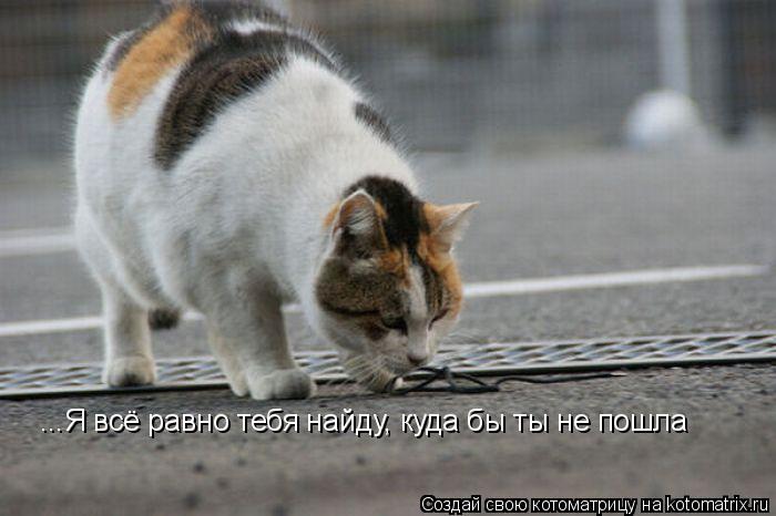 ...Я всё равно тебя найду, куда бы ты не пошла... Котоматрица: ...Я всё равно тебя найду, куда бы ты не пошла