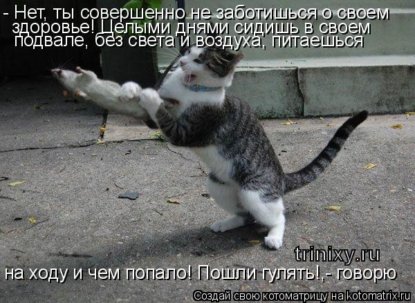- Нет, ты совершенно не заботишься о своем здоровье! Целыми днями сидишь в своем подвале, без света ... Котоматрица: - Нет, ты совершенно не заботишься о своем здоровье! Целыми днями сидишь в своем подвале, без света и воздуха, питаешься на ходу и чем попало!