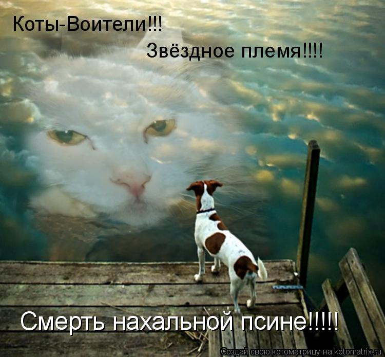 Котоматрица: Коты-Воители!!! Звёздное племя!!!! Смерть нахальной псине!!!!!