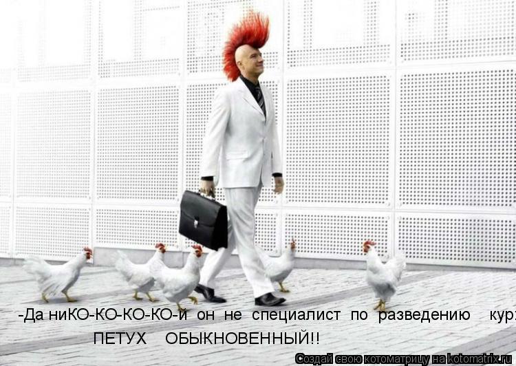 -Да ниКО-КО-КО-КО-й он не специалист по разведению кур: ПЕТУХ ОБЫКНОВЕННЫЙ!!... Котоматрица: -Да ниКО-КО-КО-КО-й он не специалист по разведению кур: ПЕТУХ ОБЫКНОВЕННЫЙ!!