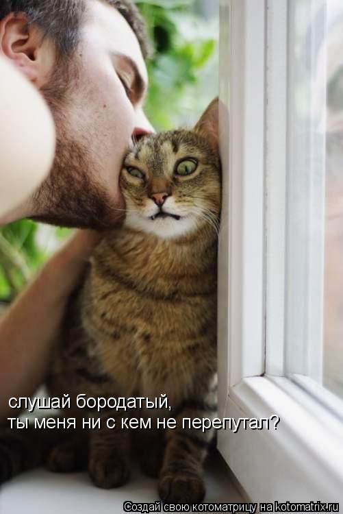 слушай бородатый, ты меня ни с кем не перепутал?... Котоматрица: слушай бородатый, ты меня ни с кем не перепутал?