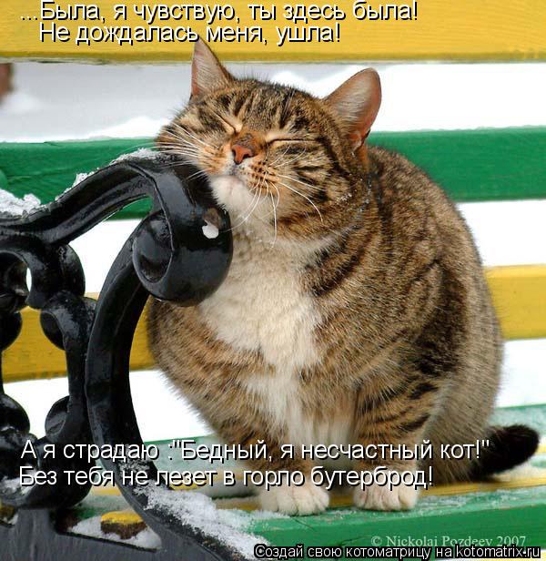 ...Была, я чувствую, ты здесь была! Не дождалась меня, ушла! А я страдаю :"Бедный, я несчастный кот!"... Котоматрица: ...Была, я чувствую, ты здесь была! Не дождалась меня, ушла! А я страдаю :"Бедный, я несчастный кот!" Без тебя не лезет в горло бутерброд!