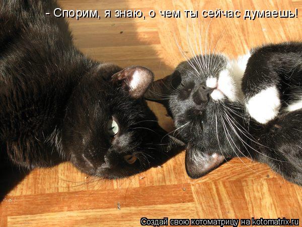 - Спорим, я знаю, о чем ты сейчас думаешь!... Котоматрица: - Спорим, я знаю, о чем ты сейчас думаешь!