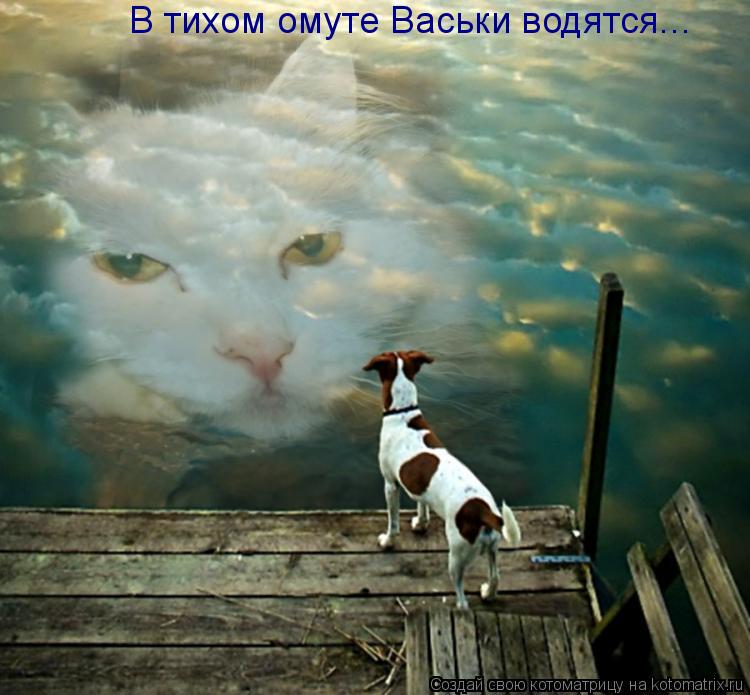 В тихом омуте Васьки водятся...... Котоматрица: В тихом омуте Васьки водятся...