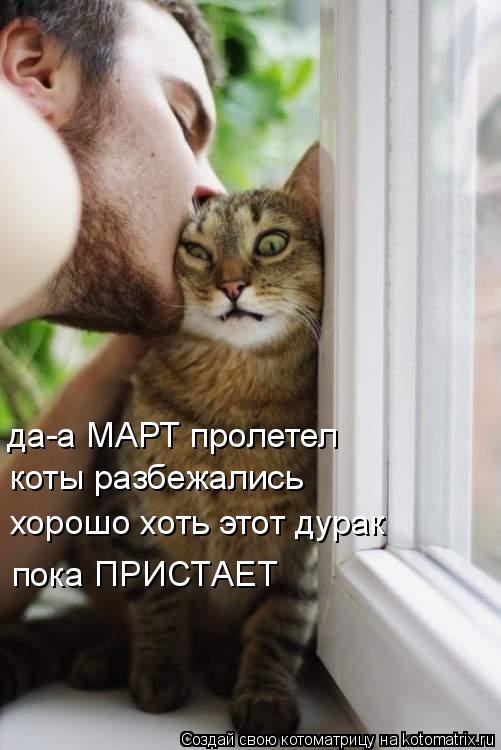 Котоматрица: да-а МАРТ пролетел коты разбежались хорошо хоть этот дурак пока ПРИСТАЕТ