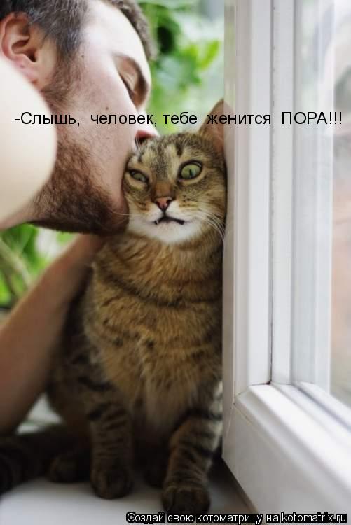 Котоматрица: -Слышь,  человек, тебе  женится  ПОРА!!!