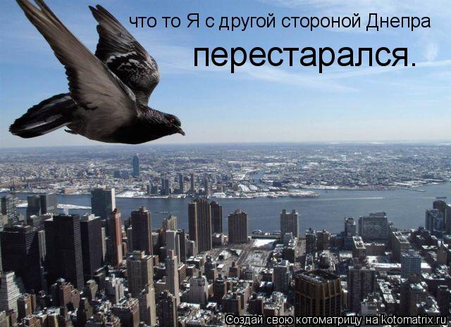 что то Я с другой стороной Днепра перестарался.... Котоматрица: что то Я с другой стороной Днепра перестарался.