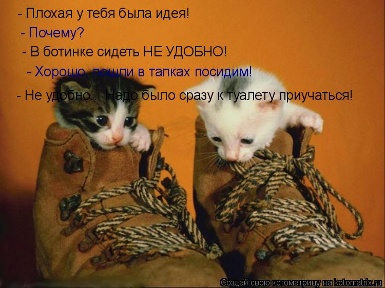 Котоматрица: - Плохая у тебя была идея! - Почему? - В ботинке сидеть НЕ УДОБНО! - Хорошо, пошли в тапках посидим! - Не удобно... Надо было сразу к туалету приуча