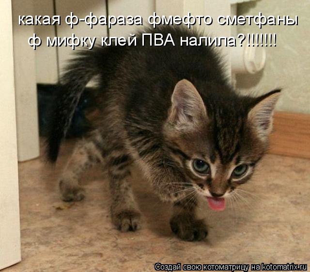 Котоматрица: какая ф-фараза фмефто сметфаны ф мифку клей ПВА налила?!!!!!!!