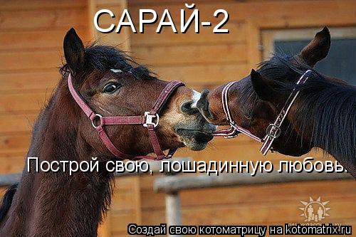 Котоматрица: САРАЙ-2 Построй свою, лошадинную любовь.
