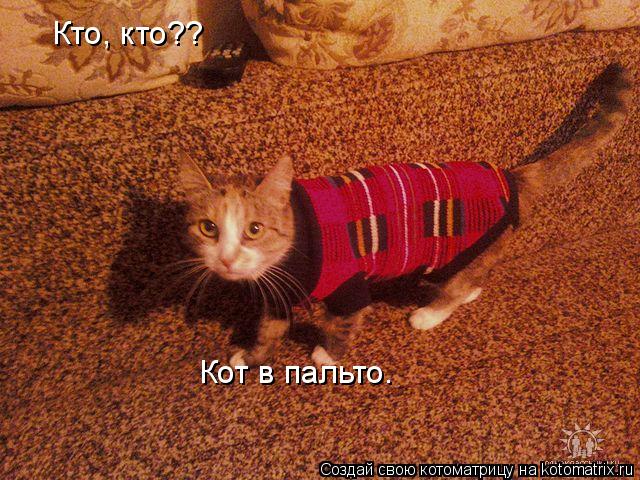 Кто, кто?? Кот в пальто.... Котоматрица: Кто, кто?? Кот в пальто.