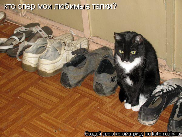 кто спер мои любимые тапки?... Котоматрица: кто спер мои любимые тапки?