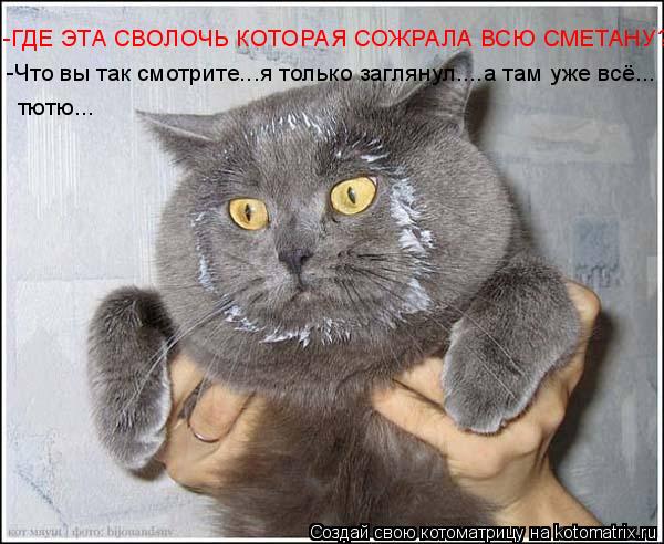 -ГДЕ ЭТА СВОЛОЧЬ КОТОРАЯ СОЖРАЛА ВСЮ СМЕТАНУ?! -Что вы так смотрите...я только заглянул....а там уже ... Котоматрица: -ГДЕ ЭТА СВОЛОЧЬ КОТОРАЯ СОЖРАЛА ВСЮ СМЕТАНУ?! -Что вы так смотрите...я только заглянул....а там уже всё... тютю...