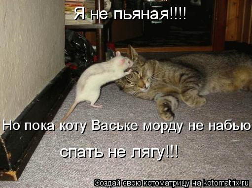 Котоматрица: Я не пьяная!!!! Но пока коту Ваське морду не набью спать не лягу!!!