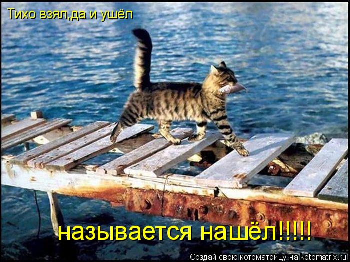 Тихо взял,да и ушёл называется нашёл!!!!!... Котоматрица: Тихо взял,да и ушёл называется нашёл!!!!!
