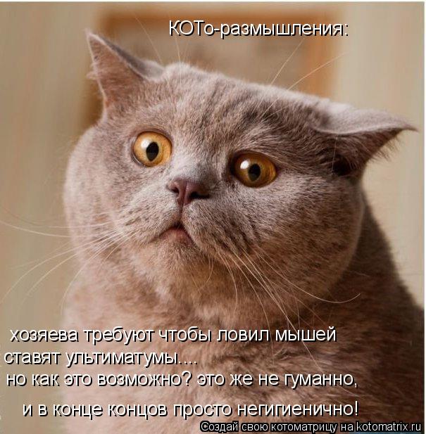 хозяева требуют чтобы ловил мышей ставят ультиматумы.... но как это возможно? это же не гуманно, и в ... Котоматрица: хозяева требуют чтобы ловил мышей ставят ультиматумы.... но как это возможно? это же не гуманно, и в конце концов просто негигиенично! КОТо-ра