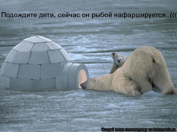 Котоматрица: Подождите дети, сейчас он рыбой нафаршируется..(((