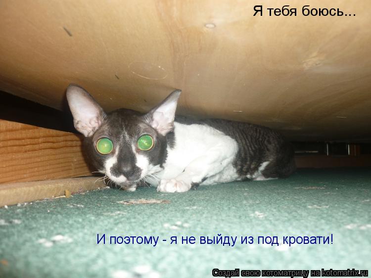 И поэтому - я не выйду из под кровати! Я тебя боюсь...... Котоматрица: И поэтому - я не выйду из под кровати! Я тебя боюсь...