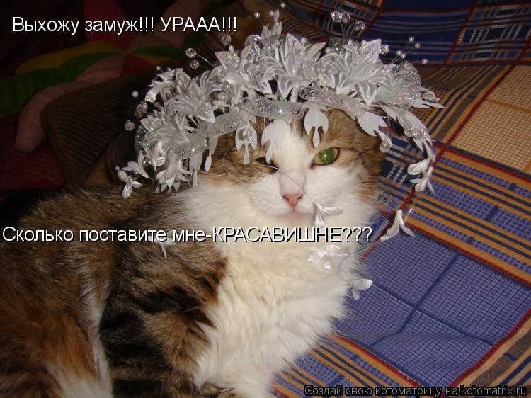 Выхожу замуж!!! УРААА!!! Сколько поставите мне-КРАСАВИШНЕ???... Котоматрица: Выхожу замуж!!! УРААА!!! Сколько поставите мне-КРАСАВИШНЕ???