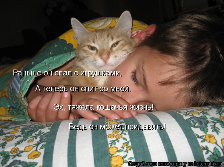 Раньше он спал с игрушками, А теперь он спит со мной. Эх, тяжела кошачья жизнь! Ведь он может придав... Котоматрица: Раньше он спал с игрушками, А теперь он спит со мной. Эх, тяжела кошачья жизнь! Ведь он может придавить!