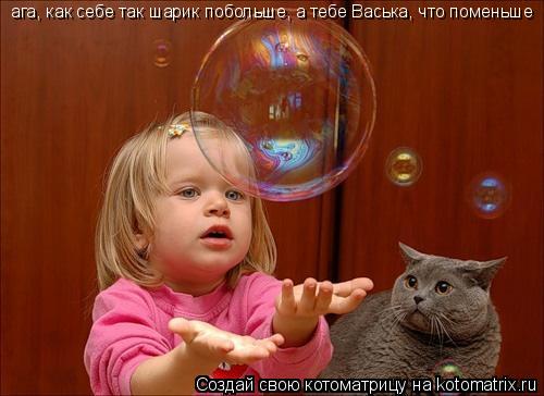Котоматрица: ага, как себе так шарик побольше, а тебе Васька, что поменьше