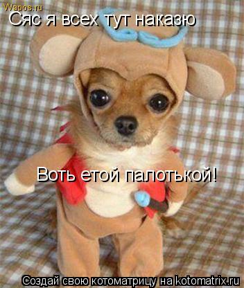Котоматрица: Сяс я всех тут наказю Воть етой палотькой!