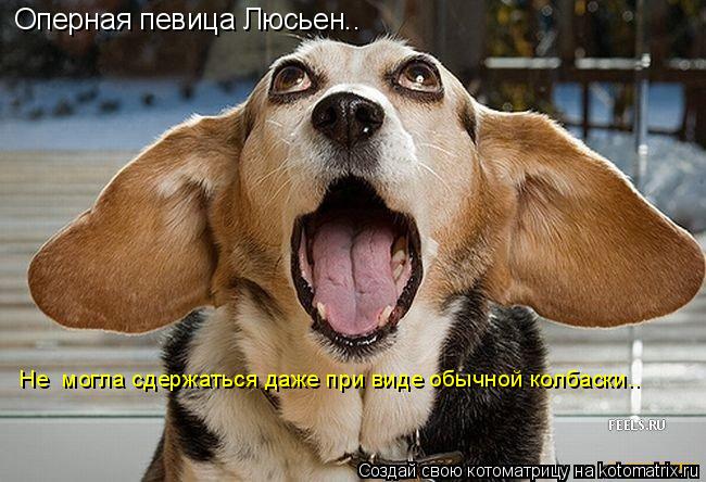 Оперная певица Люсьен.. Не могла сдержаться даже при виде обычной колбаски..... Котоматрица: Оперная певица Люсьен.. Не могла сдержаться даже при виде обычной колбаски..