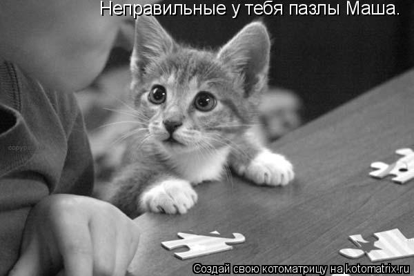 Неправильные у тебя пазлы Маша.... Котоматрица: Неправильные у тебя пазлы Маша.