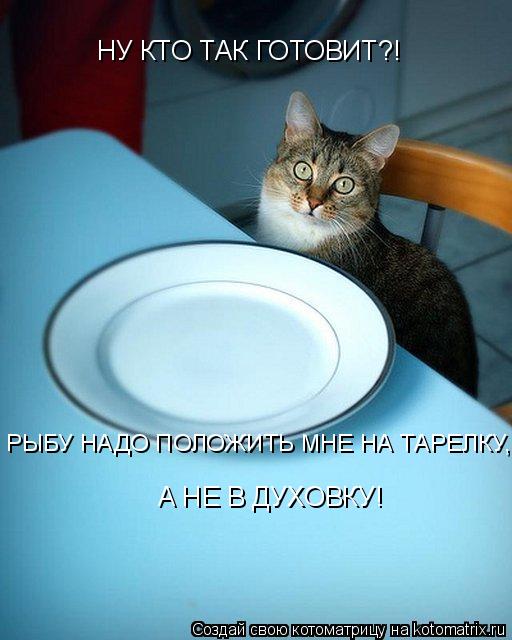 НУ КТО ТАК ГОТОВИТ?! РЫБУ НАДО ПОЛОЖИТЬ МНЕ НА ТАРЕЛКУ, А НЕ В ДУХОВКУ!... Котоматрица: НУ КТО ТАК ГОТОВИТ?! РЫБУ НАДО ПОЛОЖИТЬ МНЕ НА ТАРЕЛКУ, А НЕ В ДУХОВКУ!