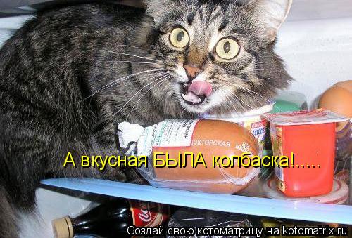 А вкусная БЫЛА колбаска!........ Котоматрица: А вкусная БЫЛА колбаска!.....
