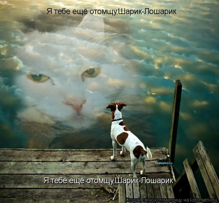 Я тебе ещё отомщу,Шарик-Лошарик Я тебе ещё отомщу,Шарик-Лошарик... Котоматрица: Я тебе ещё отомщу,Шарик-Лошарик Я тебе ещё отомщу,Шарик-Лошарик