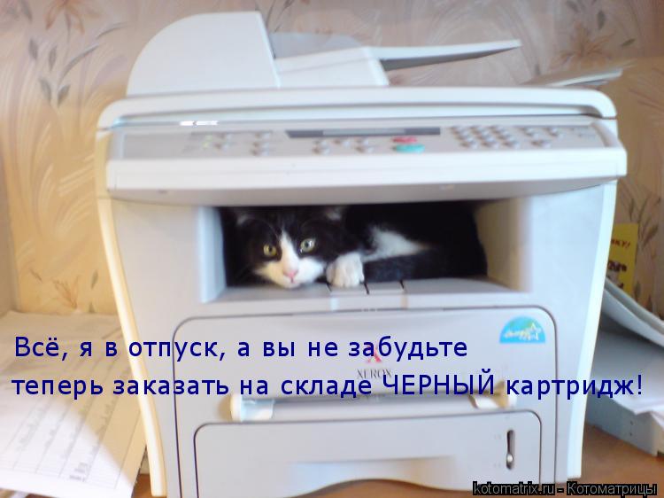 Котоматрица: Всё, я в отпуск, а вы не забудьте теперь заказать на складе ЧЕРНЫЙ картридж!